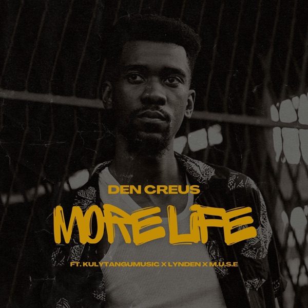 More Life cover